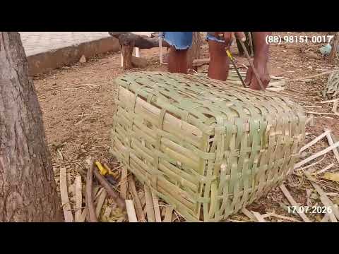 Fazendo Jacá no Povoado Salgado - Crateús - Ceará