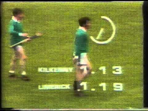 All Ireland Hurling Final 1973 (7 of 8)