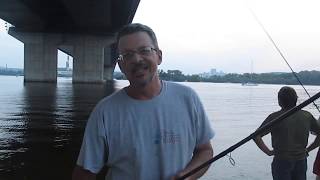 Salmo venture elite