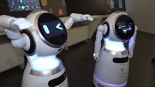 aphel-a-citta-della-scienza-arriva-il-robot-empatico