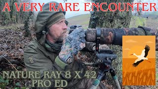 SEARCHING FOR A VERY RARE BIRD - WELSH STORK - WINTER BIRD PHOTOGRAPHY