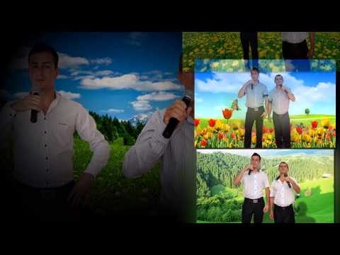 Formatia Diamant  Din Buzau - Tanar Sunt Si Viata-mi Place