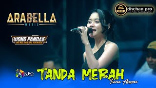 Download lagu TANDA MERAH - Tiara Amora - ARABELLA MUSIC - DHEHAN PRO AUDIO - WONG PANDAK 2025 mp3