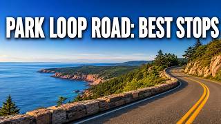 Park Loop Road Guide: Best Stops in Acadia Maine