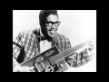 Bo Diddley - Mr. Custer