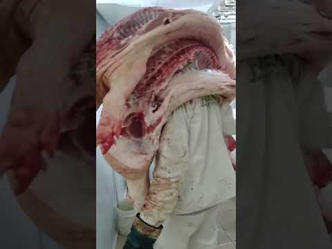 #calidadencadacorte #carne #saborcriollo #villacurabrochero #gastronomia #cocinaconsabor