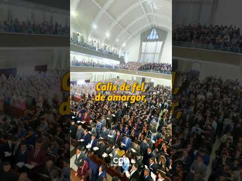 PARTE 01 • CCB CENTRAL DE APUCARANA/PR • NO CALVÁRIO... • CCB HINO 416