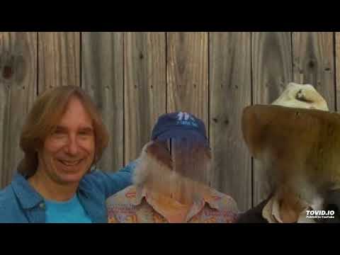 3 Young Alleycats (featuring Buddy Miller and Gurf Morlix)