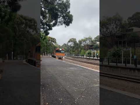 TRAINS AM22 Pacific National 6AK8 JBR Great Southern Belair Station S Australia NR30 NR31 07/01/2022