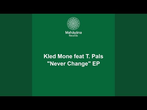 Never Change (Original Mix)