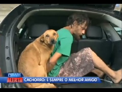 Cachorro preso em flagrante (sinceramente, cortou o coração) | Pet | Polícia | Cão | Prisão Caramelo