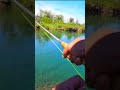 Video Thumbnail for Fly Fishing - Arctic Grayling