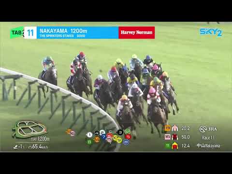 The Sprinters Stakes 2025 - WIN CARNELIAN (3YO+ WFA G1) Group 1 Nakayama Japan 28 September