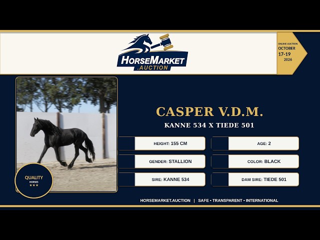 Casper V.D.M.
