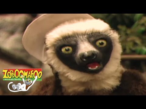 🐒🐶 Zoboomafoo 132 - Spots and Stripes | HD | Full Episode 🐒🐶