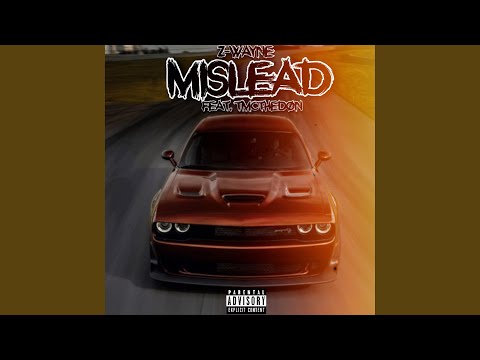 Mislead (feat. Tmcthedon)