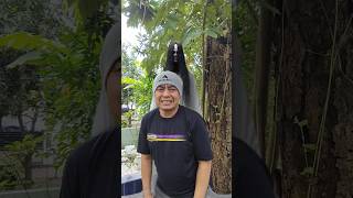 Download lagu itu tali pocong😂 mp3