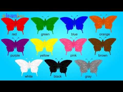 Learn Colors for Children with Colorful Butterfly | Color Names with Pictures | Kids Learning Videos