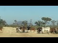 On The Way To Tsodilo Hills Botswana
