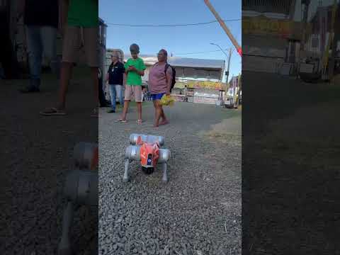 EXPO’AGRO em Laranjeiras do sul tem de tudo viu