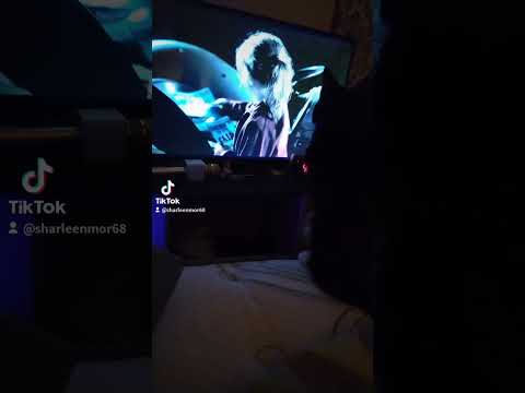 my kitty watching charlets web