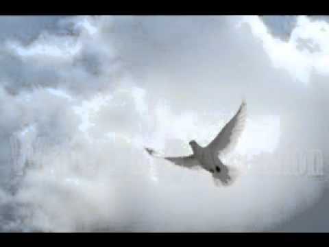 TENNA STAR HEAVENLY REMS MOVIE