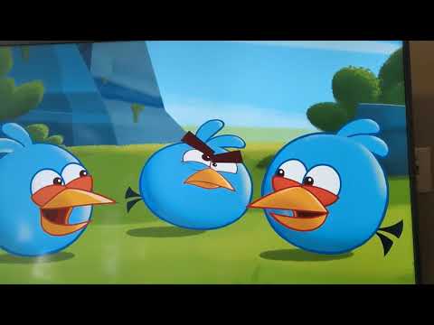 Angry Birds Toons Episode 11 Slingshot 101