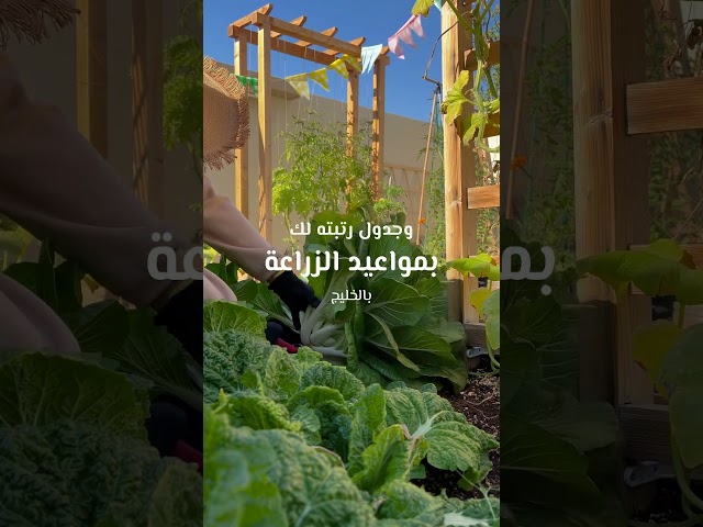 دليلك الشامل للزراعة العضوية