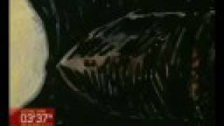 The Notwist | Johnny &amp; Mary