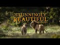 The Lion King 2019 TV Spot 60 TV Spot World