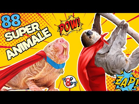 88 de ANIMALE cu SUPERPUTERI