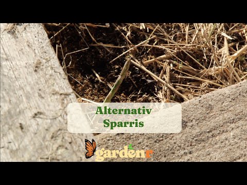 Alternative Asparagus - Gardenhacks by GardenR