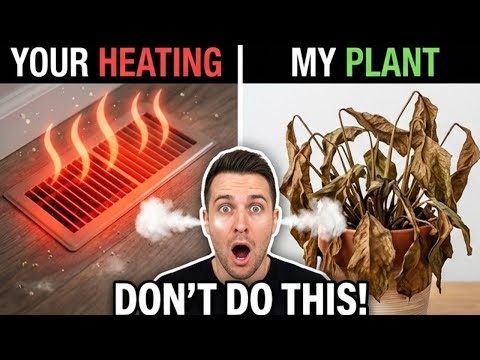 Heated Homes Are Killing These 5 Plants – Here's Why