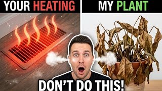 Heated Homes Are Killing These 5 Plants – Here's Why