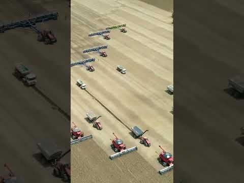 Grupo RISA-SA de Balsas-MA #agro #agricultura #caseih #colheita #maranhão #soja #milho #cerrado