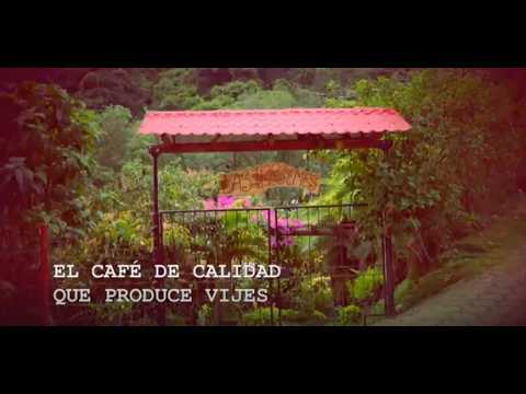 Café impulsa la economía de Vijes y fortalece el turismo en la región