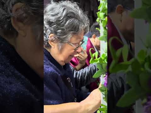 Virgencita Candelaria del Socorro ingresa al centro de la Ciudad de Trujillo