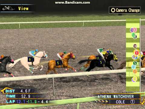 2015 Seeing Stars Personal Ensign Memorial Stakes