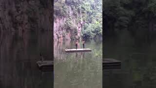 Download lagu Budak Cover Rahsia Pohon Cemara mp3 Download lagu Budak Cover Rahsia Pohon Cemara mp3