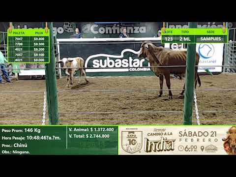 Subasta Virtual - Presencial Sampues (E)2 23/01/2026