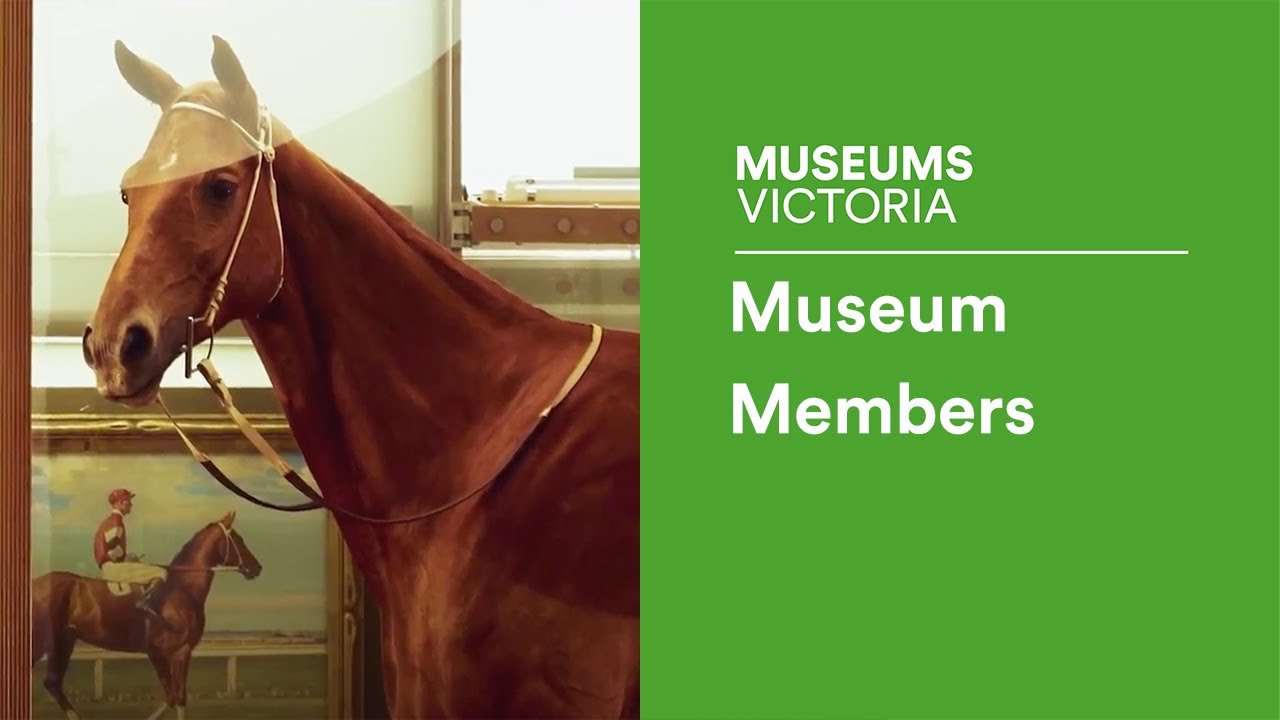 Museum Members