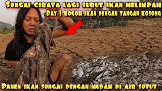 Download lagu CIRATA RIVER WATER LEVEL IS LOW, FISH ARE EVERYWHERE AND EASY TO CATCH BY HAND mp3 Download lagu CIRATA RIVER WATER LEVEL IS LOW, FISH ARE EVERYWHERE AND EASY TO CATCH BY HAND mp3