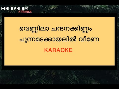 VENNILA CHANDHANA KINNAM KARAOKE WITH LYRICS