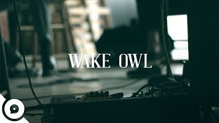 Wake Owl - Madness | OurVinyl Sessions