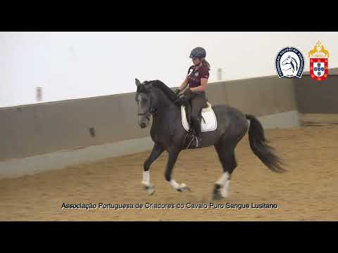 230417 3 Proj Ensino APSL&FEP - Carmo Marcelino com Pastor AP