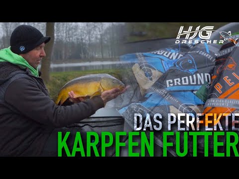 Mit diesem Futter räumst du beim Karpfenangeln ab!