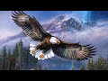 ABBA Eagle