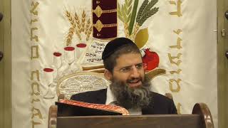 הרב אופיק טנג'י - הלכה בפרשה - פרשת בראשית - הלכות עריות - חלק א'