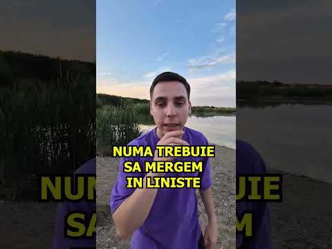 Am Gasit LEBEDE !