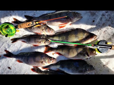 PILKILLÄ | KAUDEN PÄÄTÖS 6.4 | KESKIKARKEETA AHVENTA JIGIPILKILLÄ!